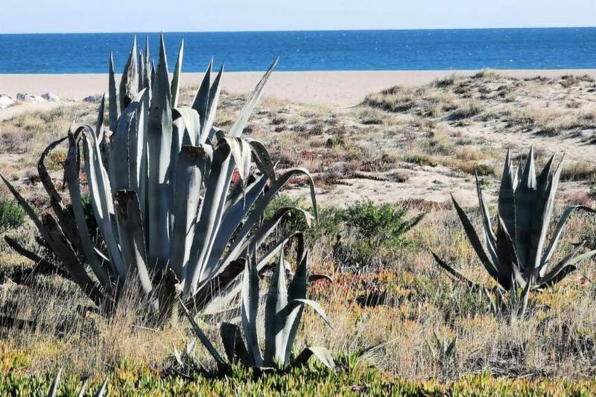 Résidence Maisons De La Mer 2 - foto 28