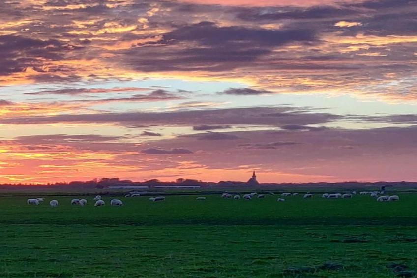 Kustpark Texel - foto 40