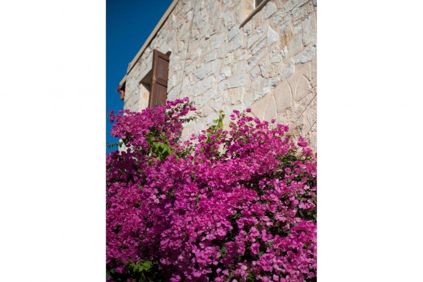 Villa Arhontariki 8prs - foto 64