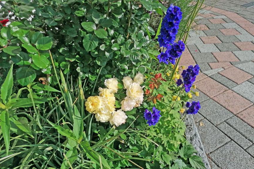 Ferien-Apartment - foto 20