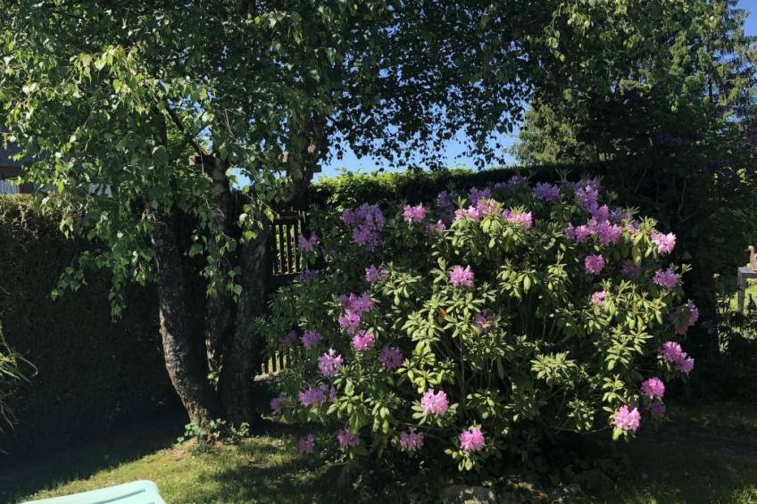 Eifelhäuschen - foto 12