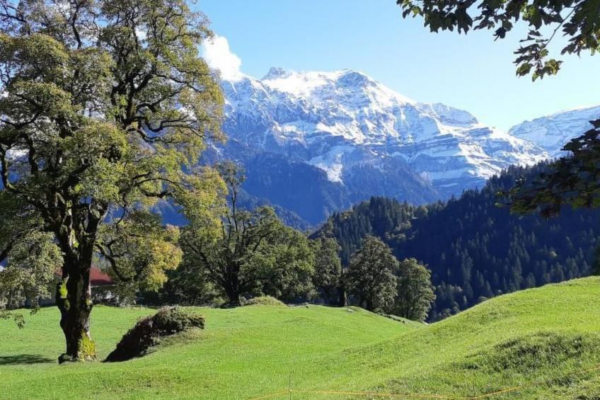 Rietberg 8 Braunwald - foto 6