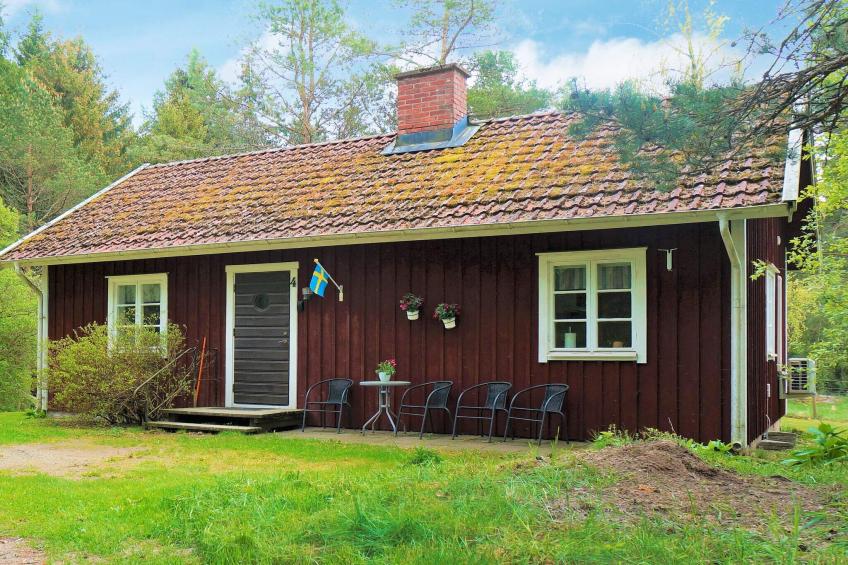 11656 - foto 2