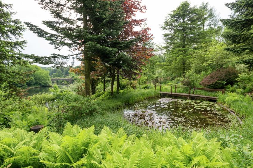 Le Jardin des Eaux - foto 27