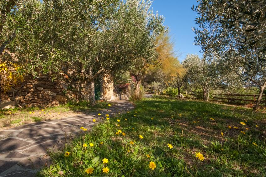 Residence Piccola Oasi (CLV271) - foto 25