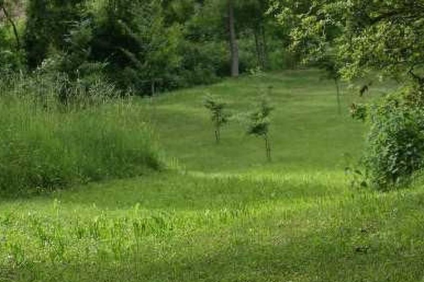 Wohnung El Graner mit großer Fensterfront - foto 3