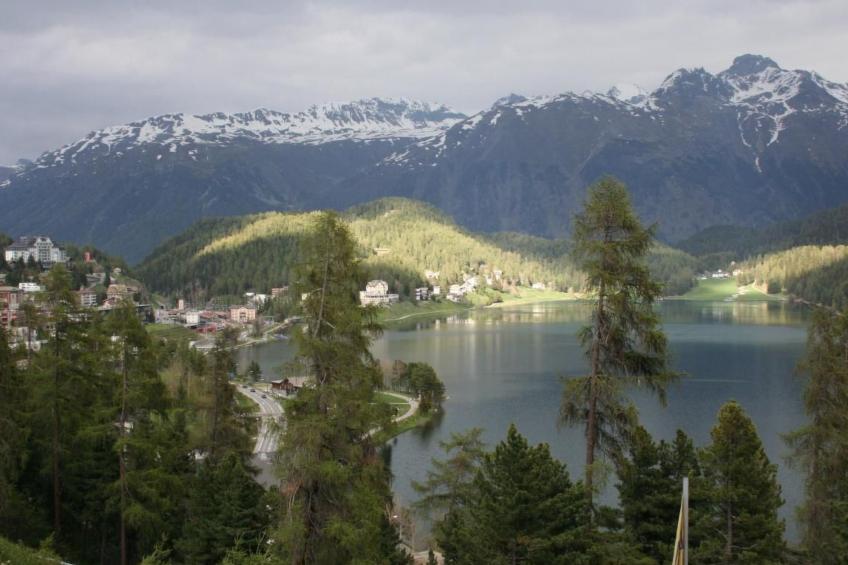 Chesa Arettas - foto 20