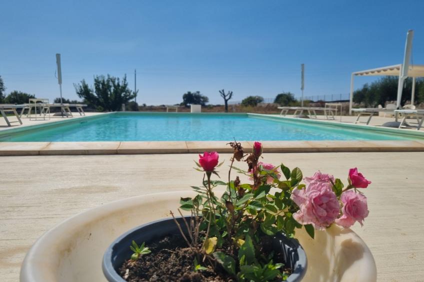 Casa Sbrizza... auf dem Lande, 15 Minuten vom Meer entfernt - foto 57