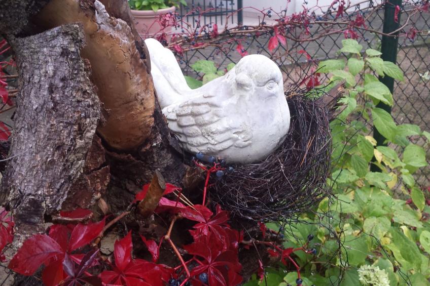 mit Garten, Grill und Terrasse - foto 26