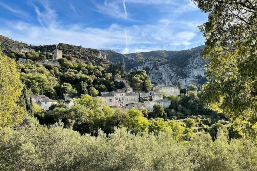 Le Chant Des Cigales - foto 18