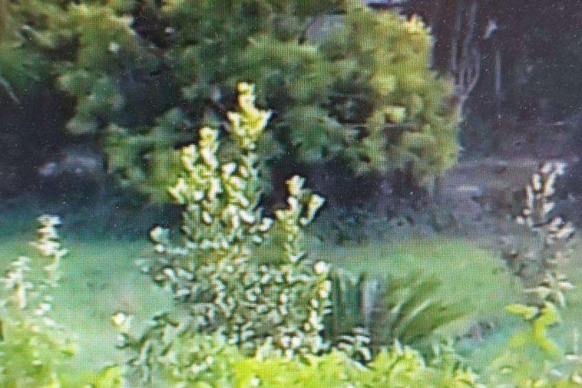 Villa Alma Wohnung in Villa - foto 28