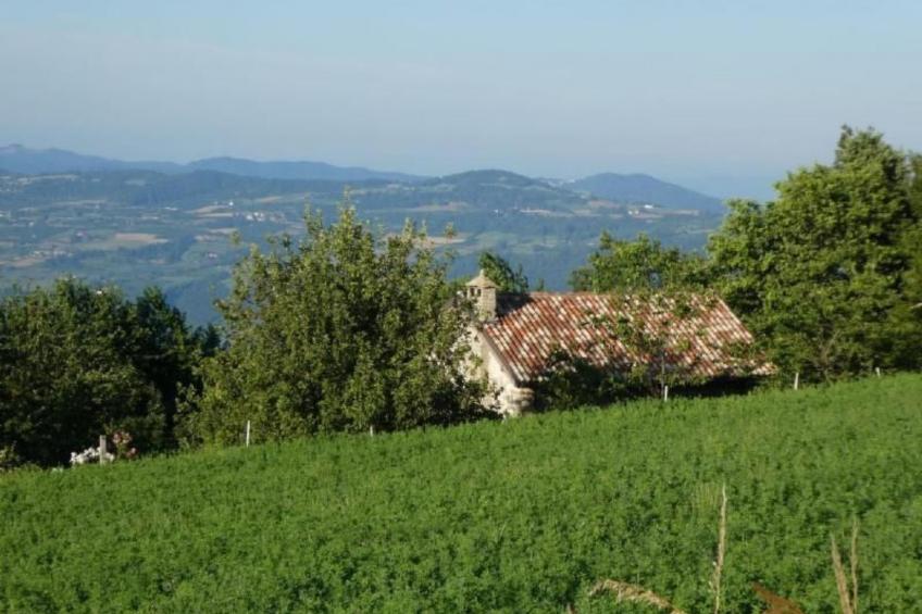 Piccola casa romantica - foto 17