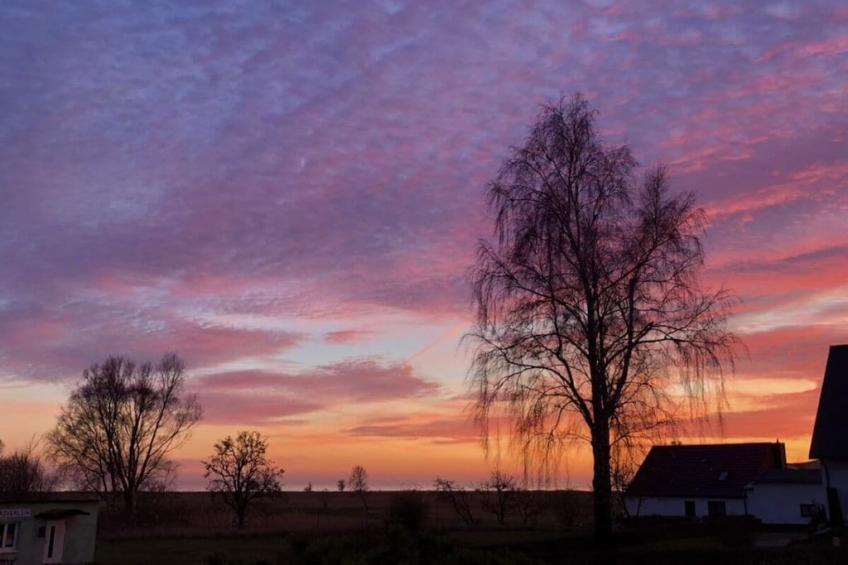 218916 - foto 9