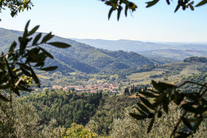 Fattoria Panzalla (SPC154) - foto 34