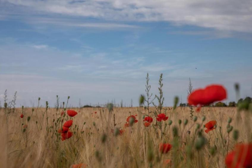 Le Bateau du Lac Privé - foto 35