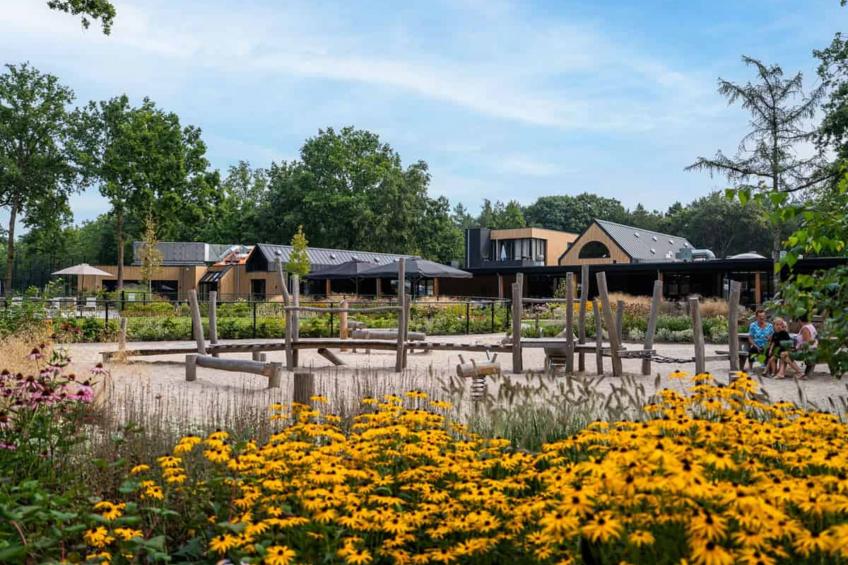 Brabants licht - foto 16