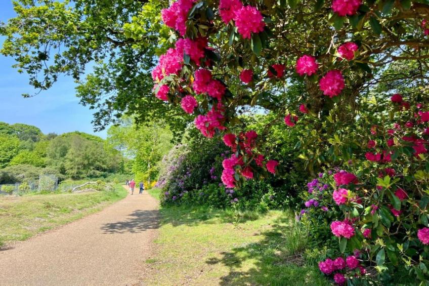 Bulrush Bell Tent - foto 23