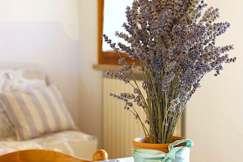 Das Landgut "Corte Canale Virgilio" mit Balkon - foto 18