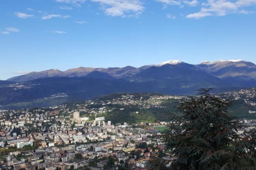 Al Bosco 71A - foto 21