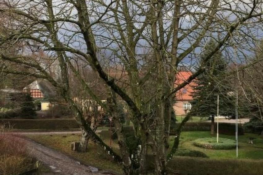 Kastanienblick - foto 11