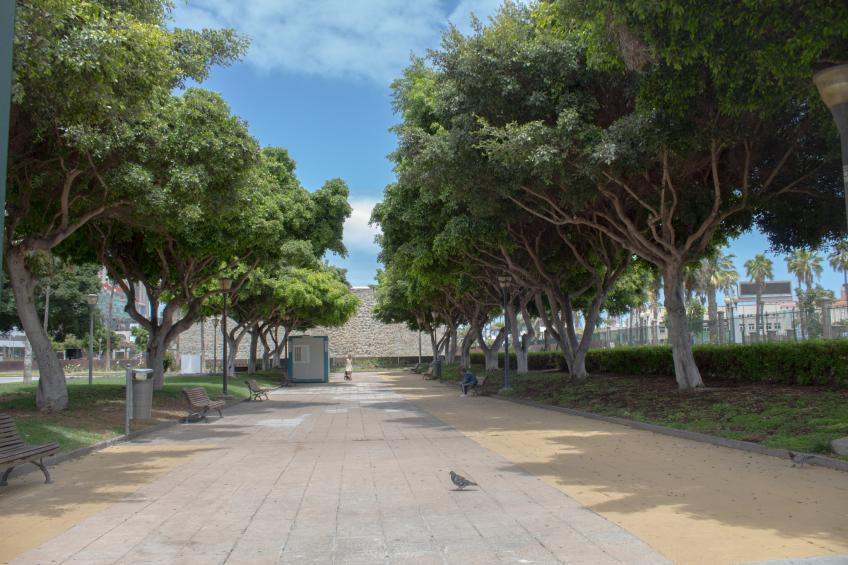 Rejon Hideaway B By CanariasGetaway - foto 24