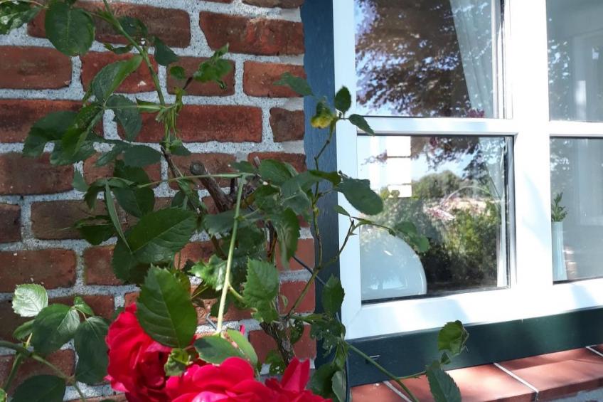 Land-Ferienhaus - foto 4