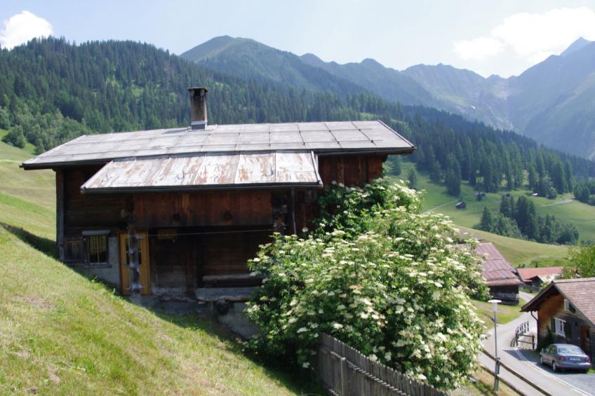 Ferienhaus Altes Walserhaus, Brün, (Valendas-Brün), 22004B - foto 30