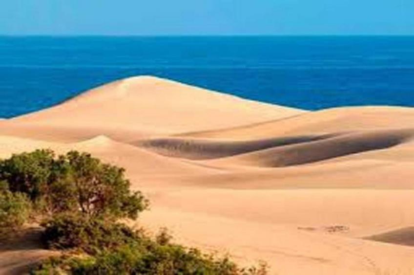 LOS TUNOS 29 - foto 37