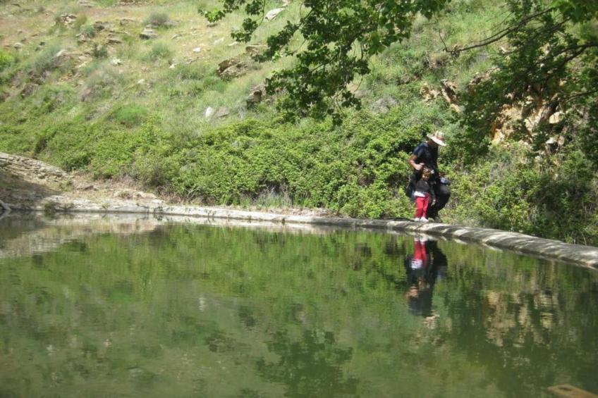 Casa la Albaida - foto 19