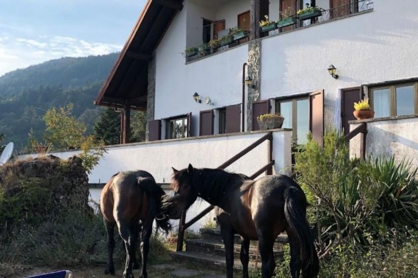 La Perla dell'ALta Via Wohnung mit Park - foto 14