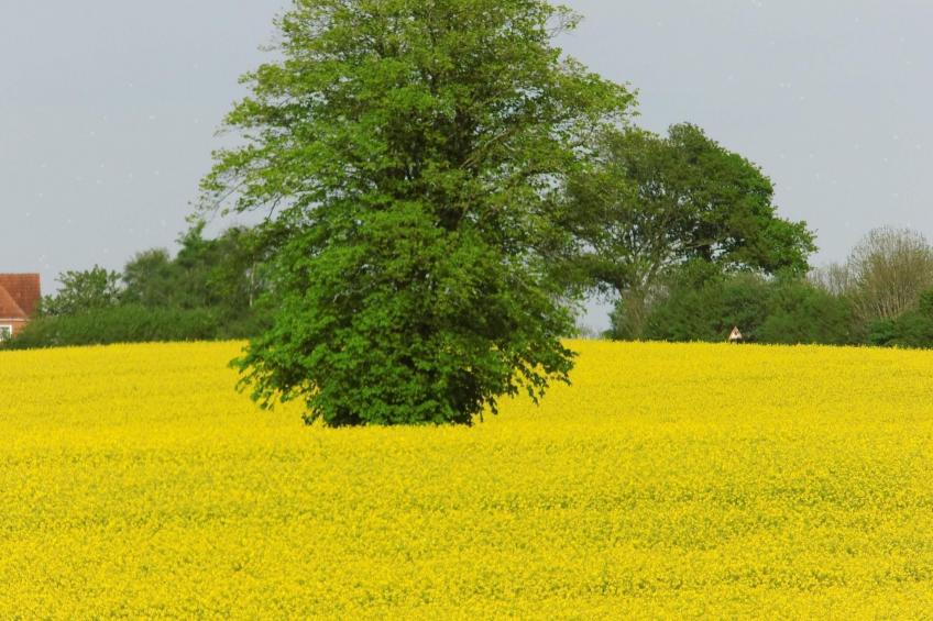 Fewo "Berliner" - foto 9