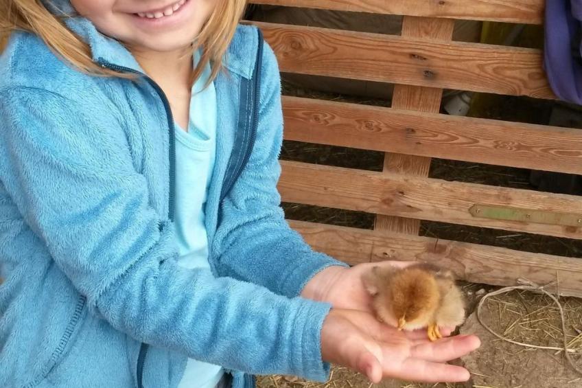 Gala+ Vernatsch - foto 12