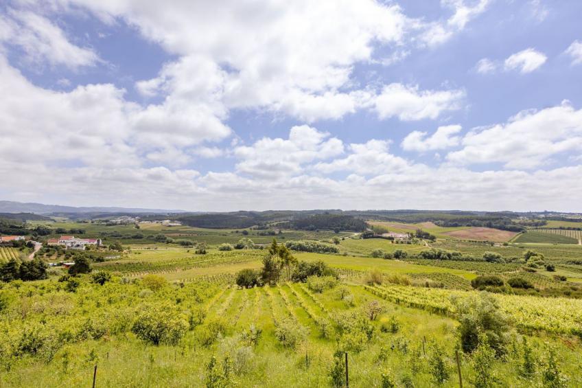 Villa Silberküste Portugal - foto 36
