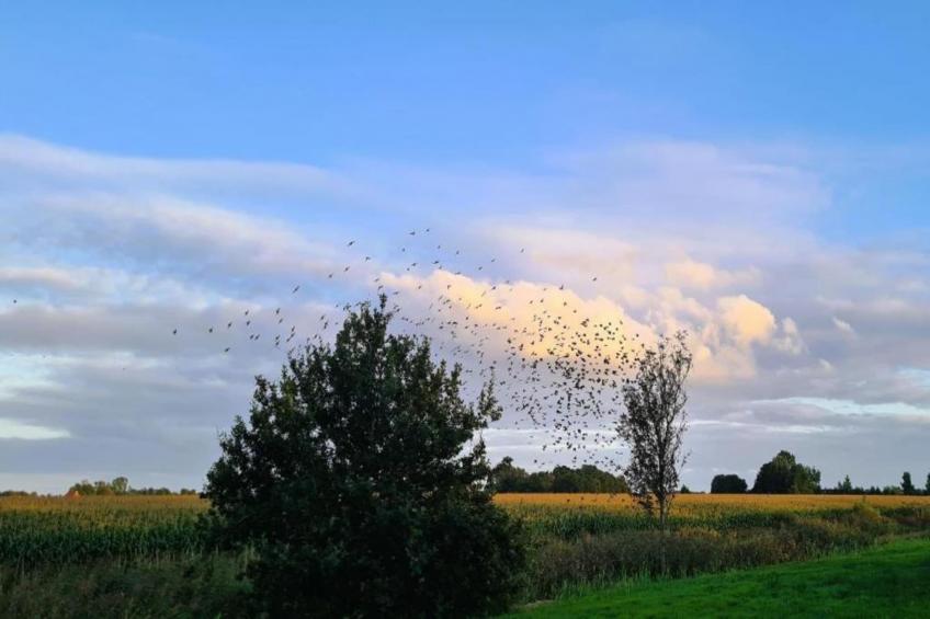 Chalet Eke - foto 30