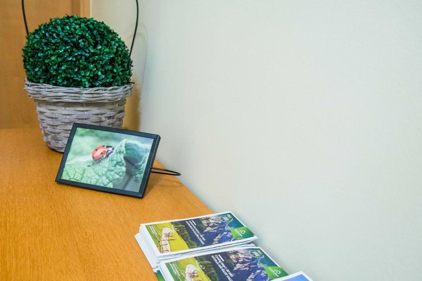 Luce Hilltop Cozy Apartment - Two Bedroom Apartment - foto 29