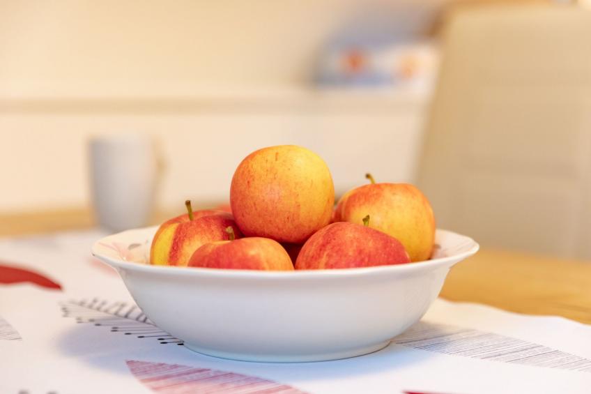 Große Ferienwohnung in Stubenberg am See mit GenussCard - foto 16