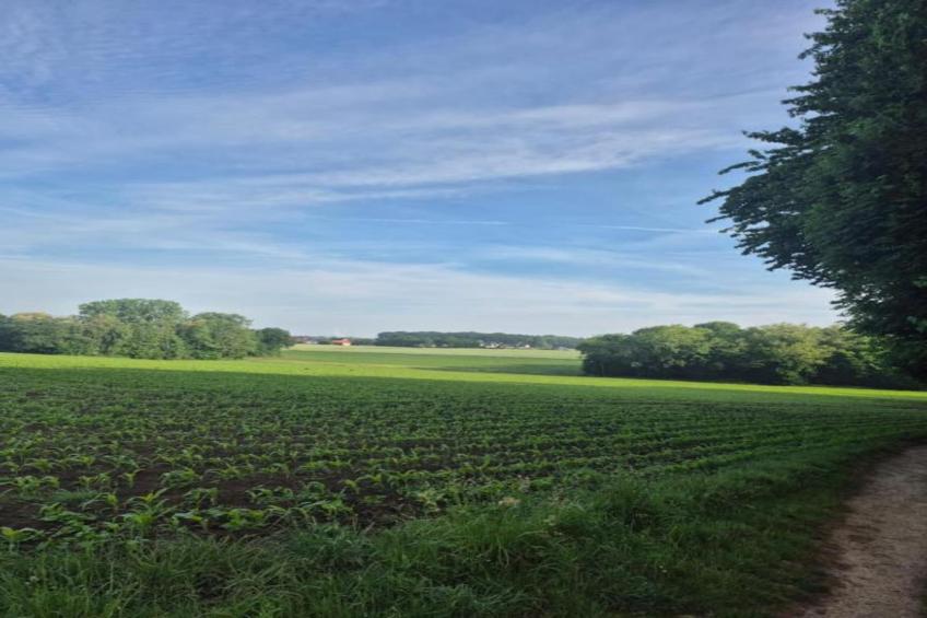 Ferienresort Bad Bentheim 23 - foto 21