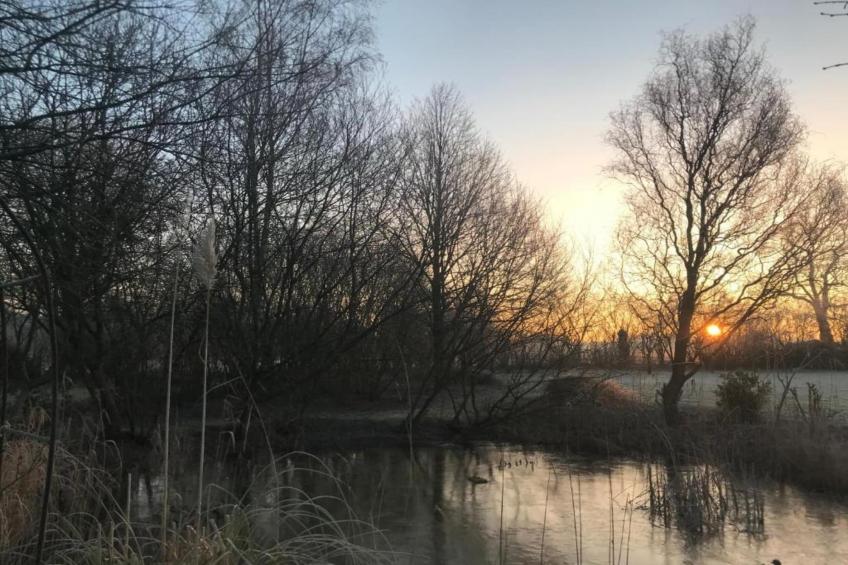 Vakantiepark Hessenheem 4 - foto 21