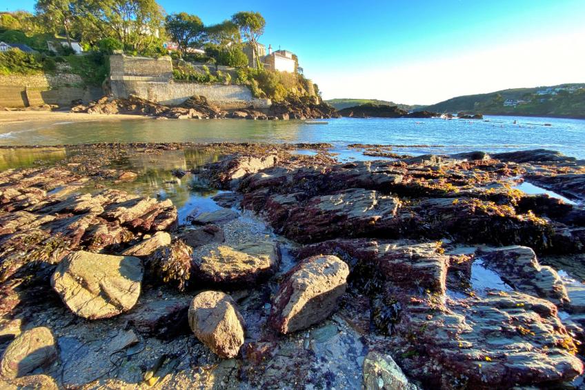 Potters Cottage - foto 37