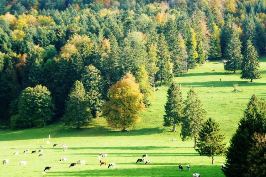 Chalet Désir, Lajoux - foto 26