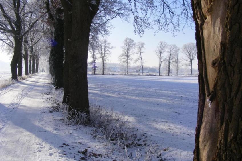 Huus in 't Hagt - foto 33