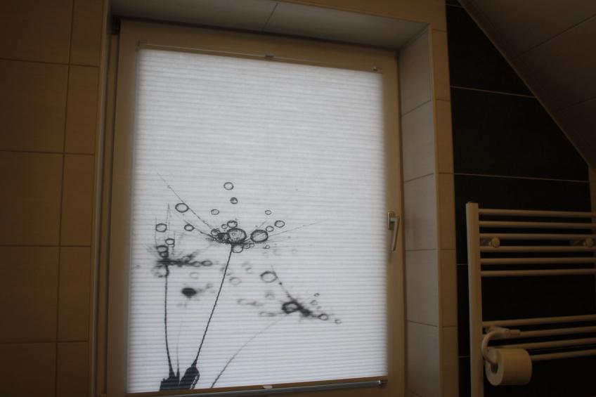 Mühlenblick - foto 21