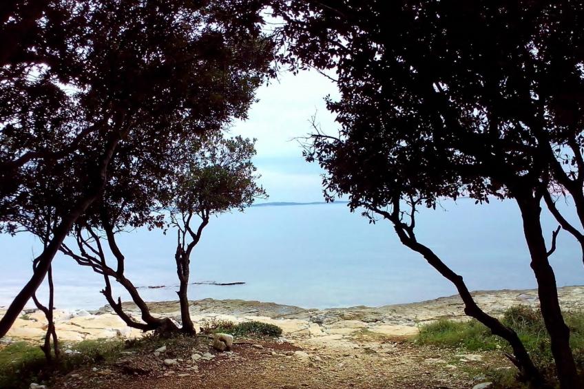 Villa Natalia Peroj,  mit privaten Pool - foto 45