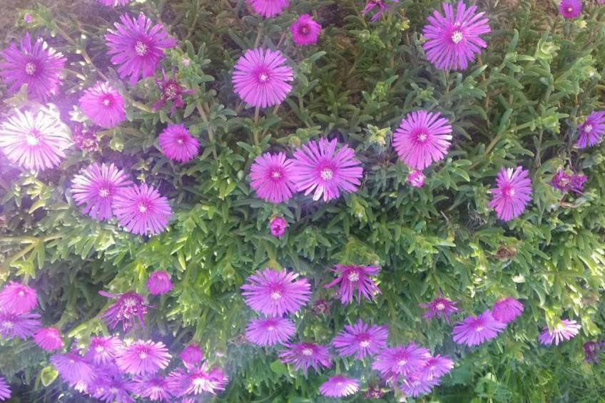 Gemütliche Wohnung Andrea in Opatija