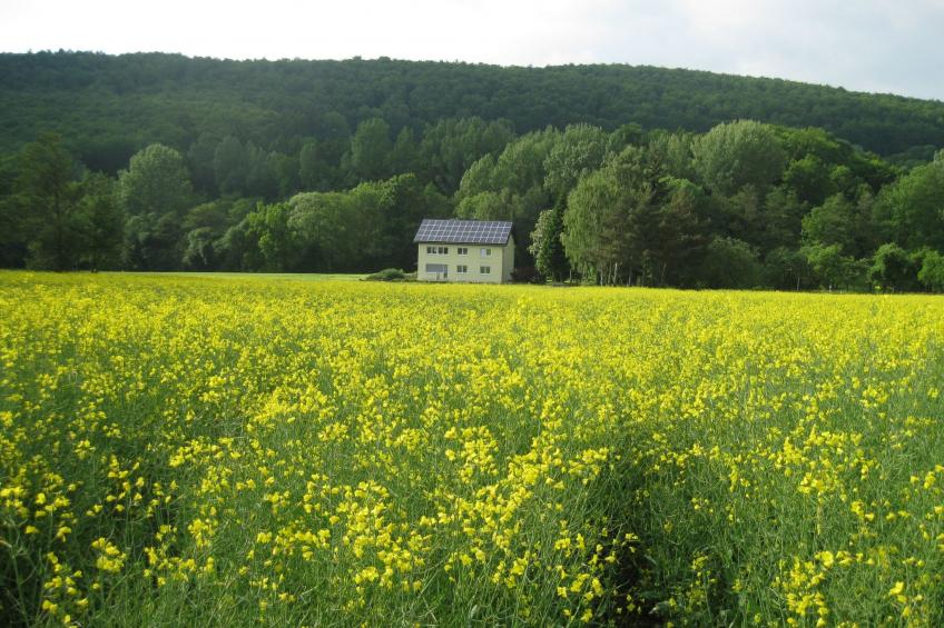 Gästehaus Kühne - foto 2