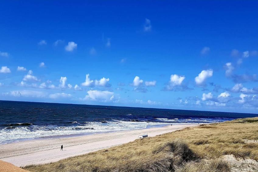 Holiday flat, Zingst|Düne 2.2 - foto 11