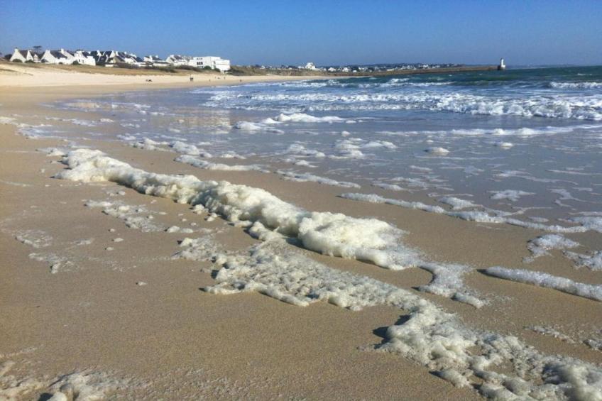 Maison de vacances - PONT-CROIX - foto 30