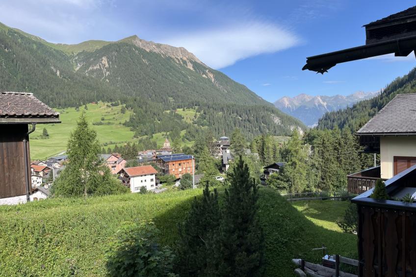 Albula B Chasa Nana, (Bergün/Bravuogn), 232 - foto 42