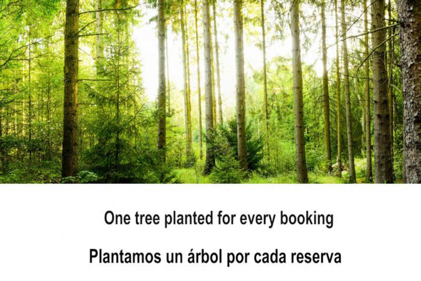 Appartements à Alicante - foto 28