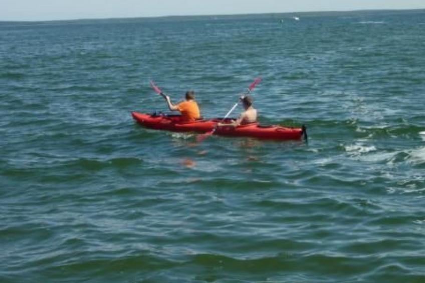 Mueritzbrise 3 mit Terrasse free WiFi - foto 4